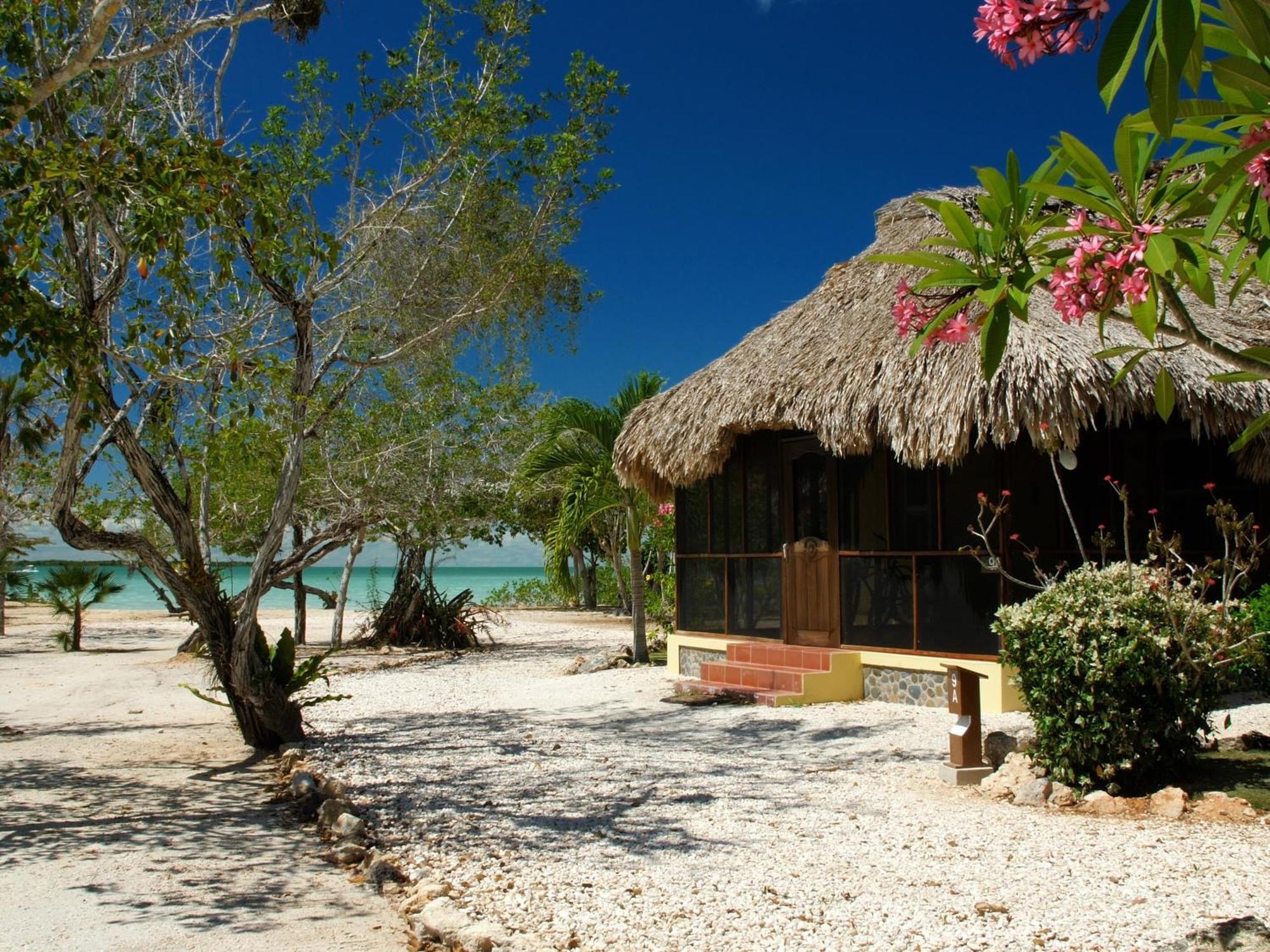 Orchid Bay Resort Коросаль Номер фото